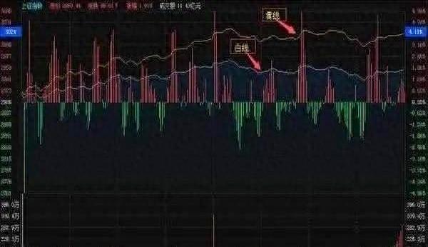 汇盈配资 散户亏惨了？别慌！这封信能让你重拾信心