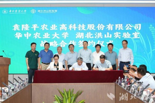 擒牛宝配资 华中农大水稻抗高温研究取得重大突破