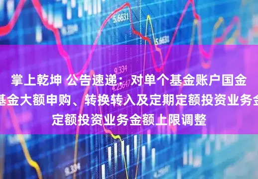 掌上乾坤 公告速递：对单个基金账户国金金腾通货币基金大额申购、转换转入及定期定额投资业务金额上限调整